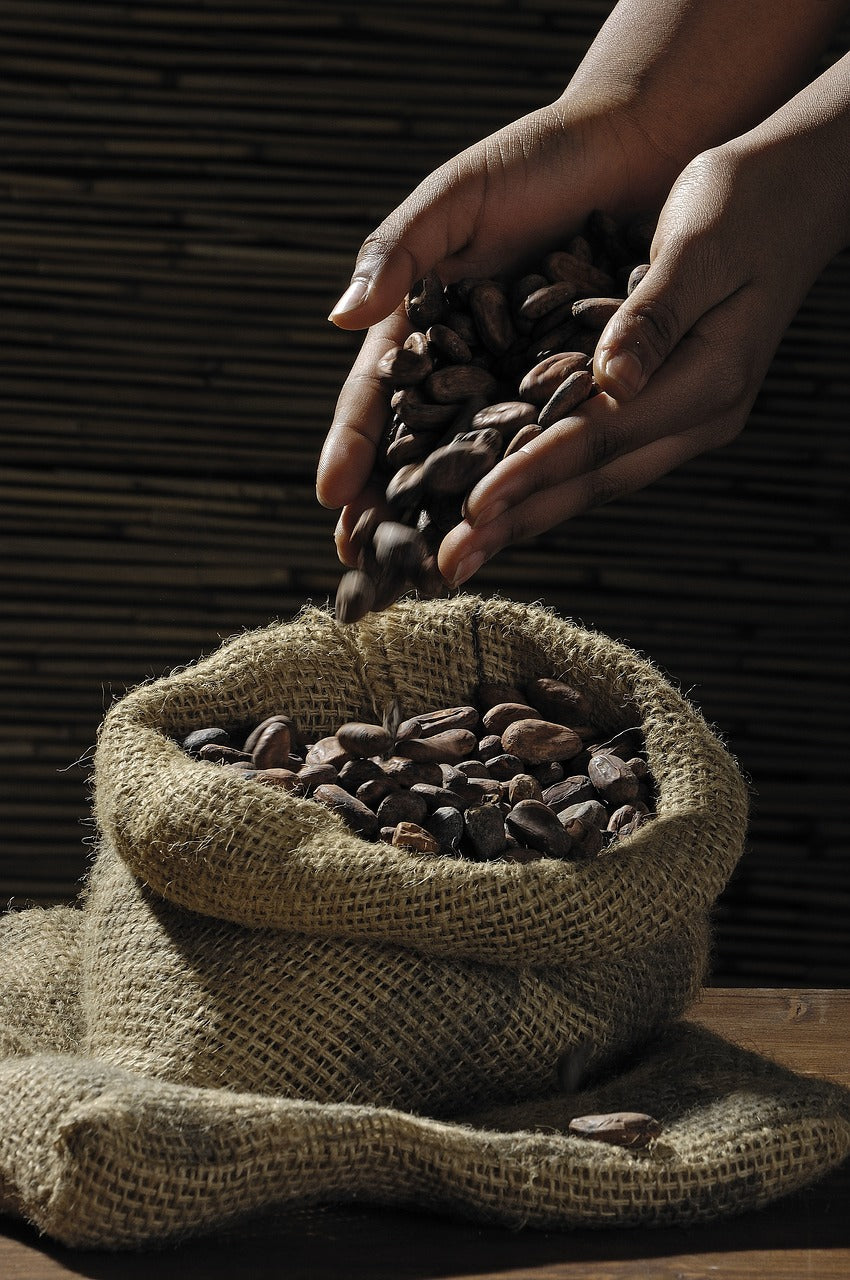The bean-to-bar process of crafting fine artisan chocolates.