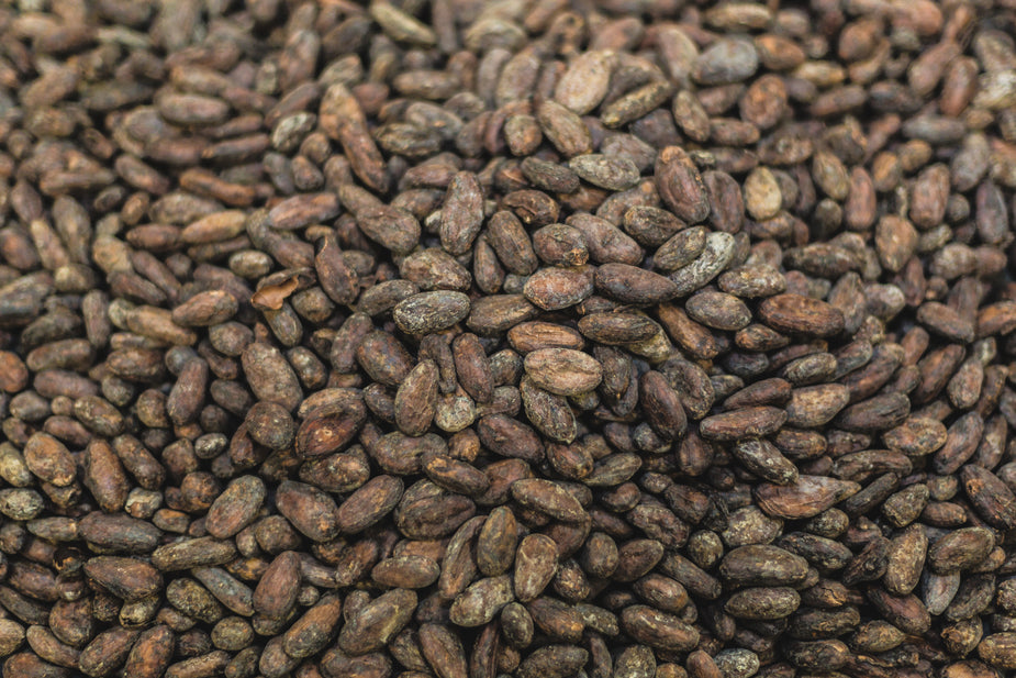 Varieties of cacao beans: Criollo, Trinitario, and Forastero